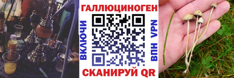 Псилоцибиновые грибы прущие грибы  продажа наркотиков  мега вход  shop наркотические препараты  Ипатово 