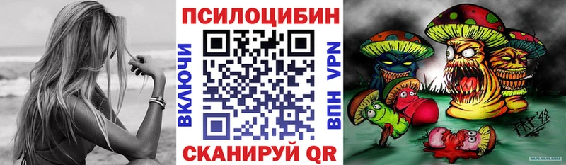 Псилоцибиновые грибы мицелий Ипатово