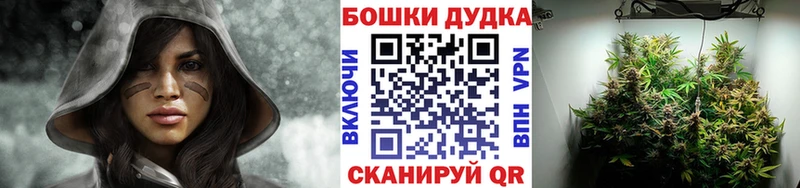 Шишки марихуана планчик  Ипатово 